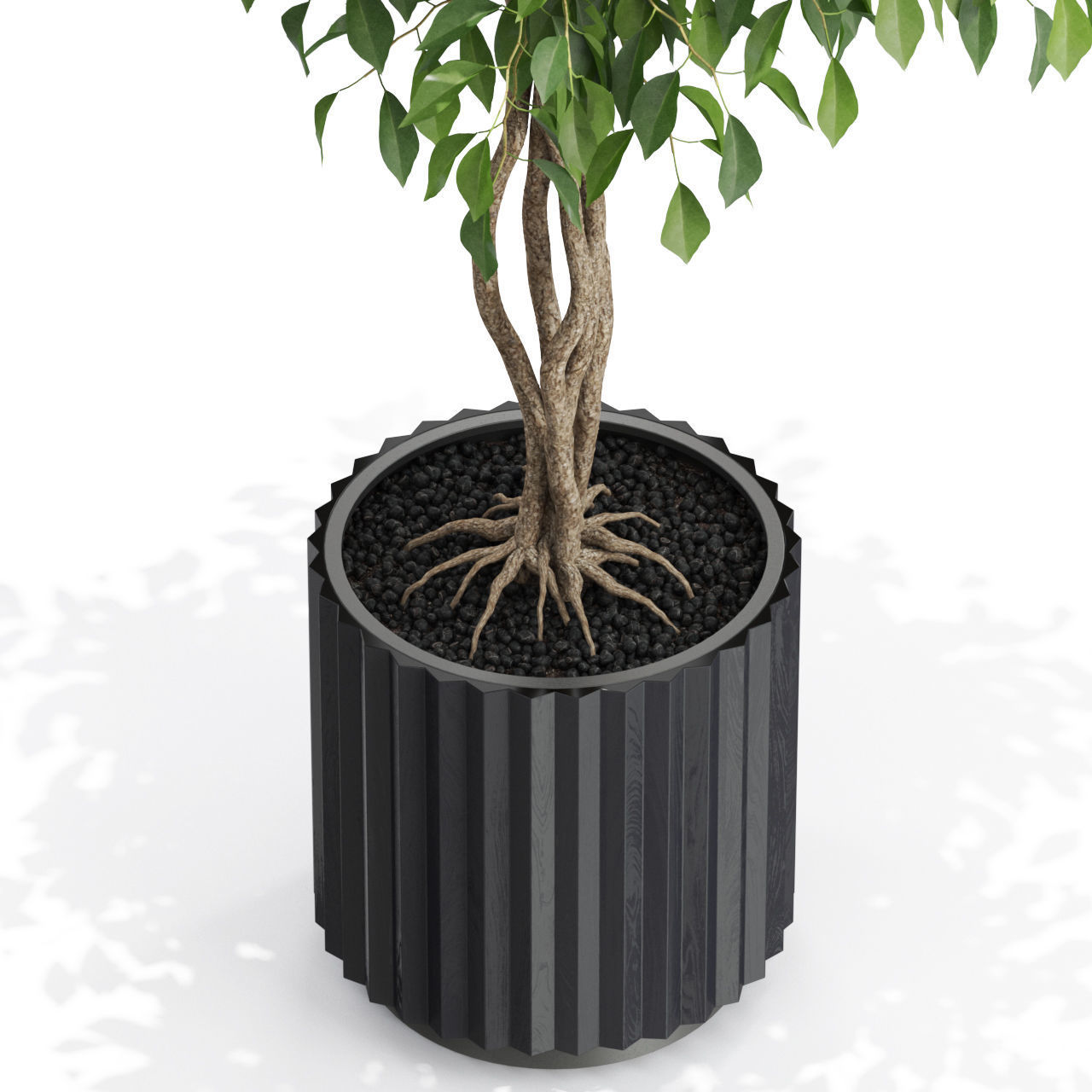 Plants collection 581 3D model_1