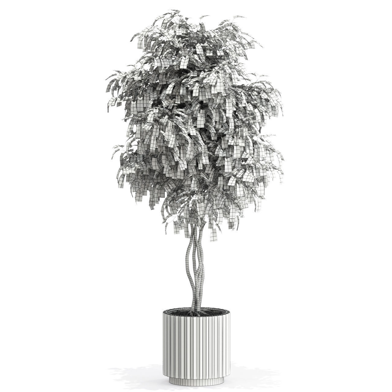 Plants collection 581 3D model_4