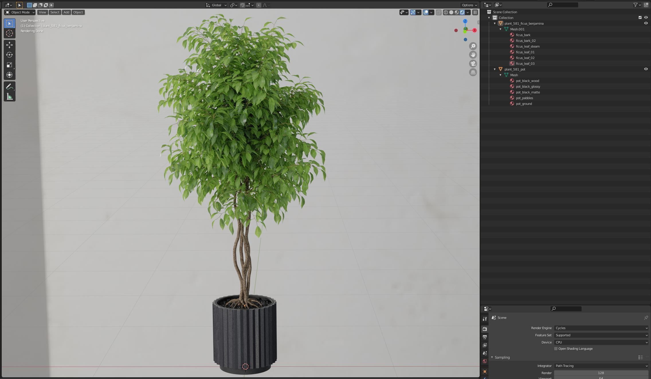 Plants collection 581 3D model_5