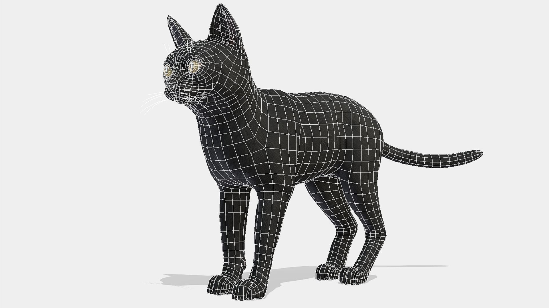 Cat - Bombay Low-poly 3D model_2