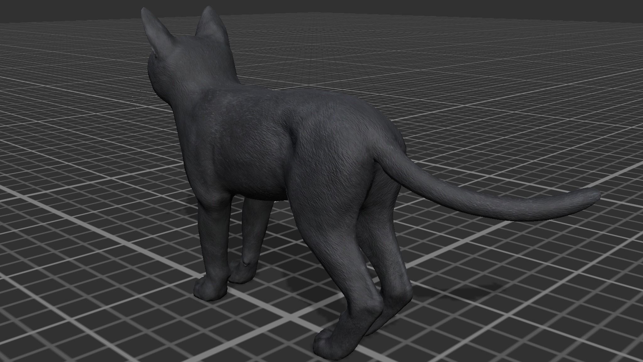 Cat - Bombay Low-poly 3D model_10