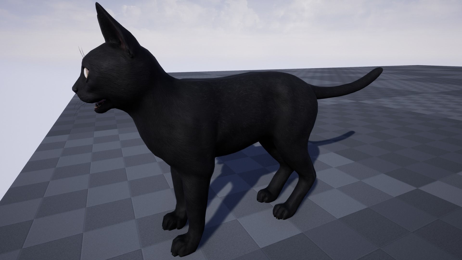 Cat - Bombay Low-poly 3D model_4