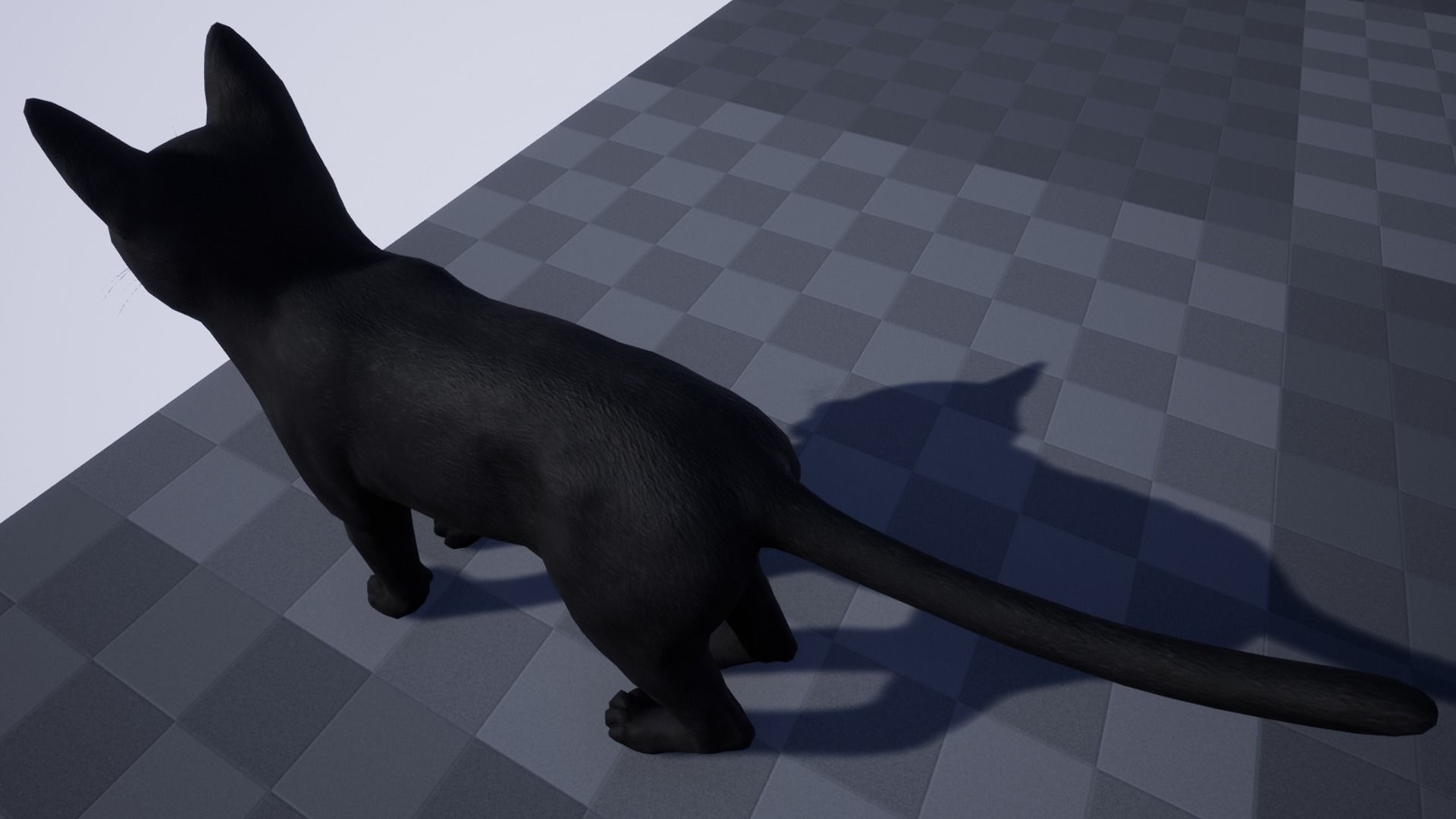 Cat - Bombay Low-poly 3D model_6