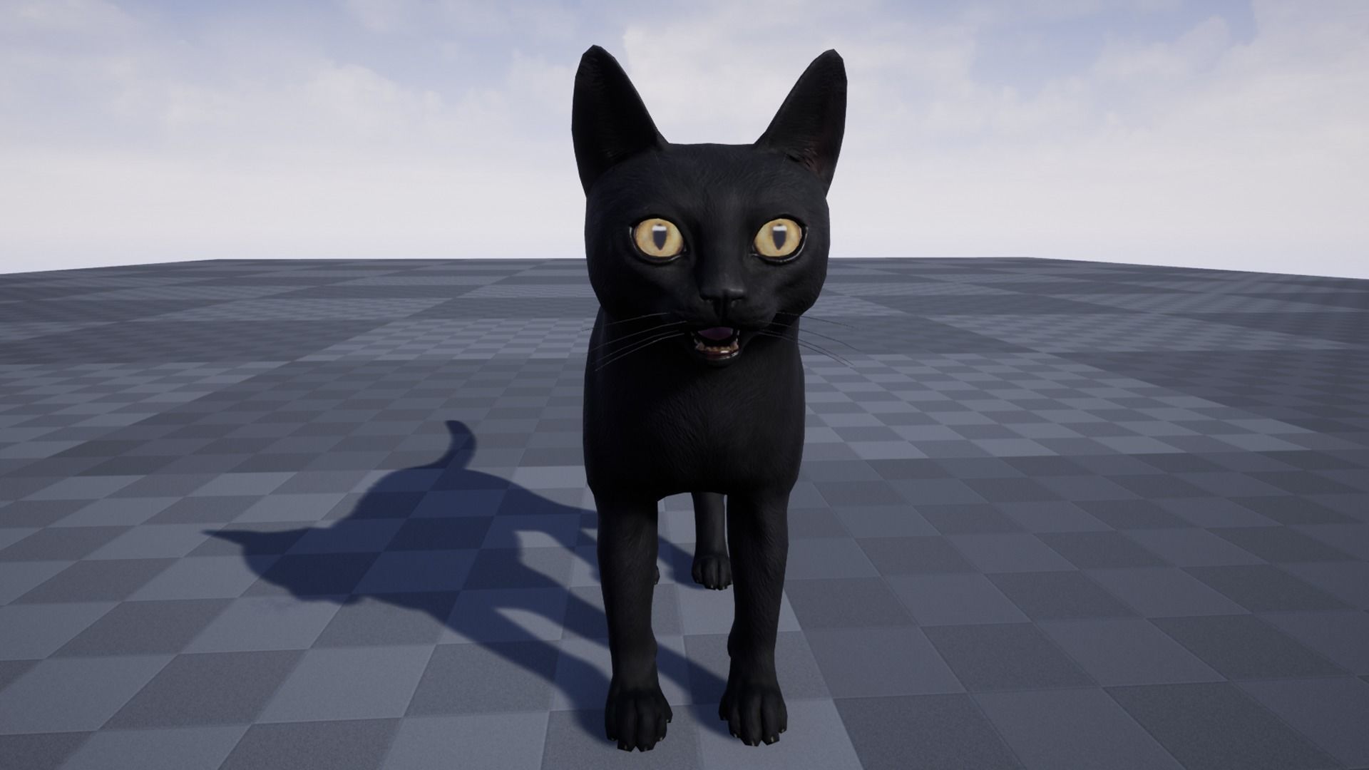 Cat - Bombay Low-poly 3D model_7