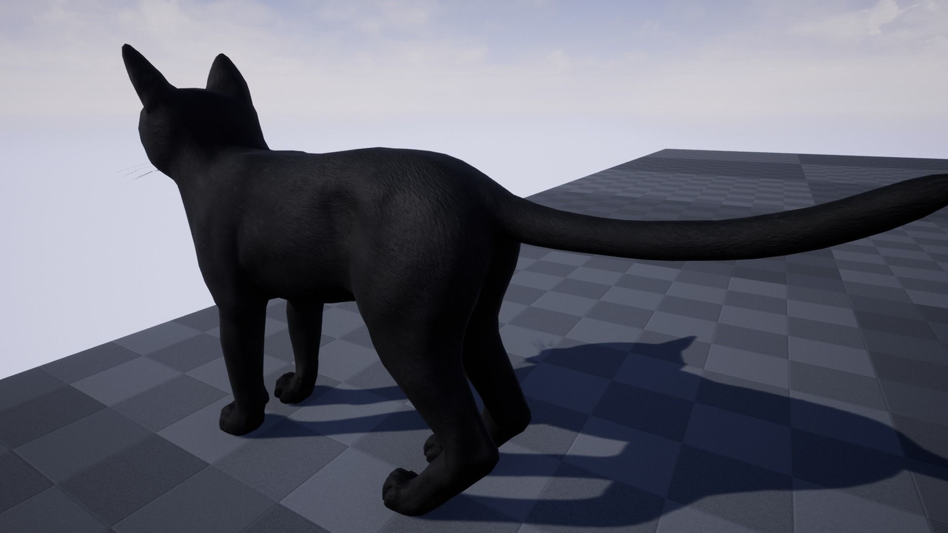 Cat - Bombay Low-poly 3D model_5