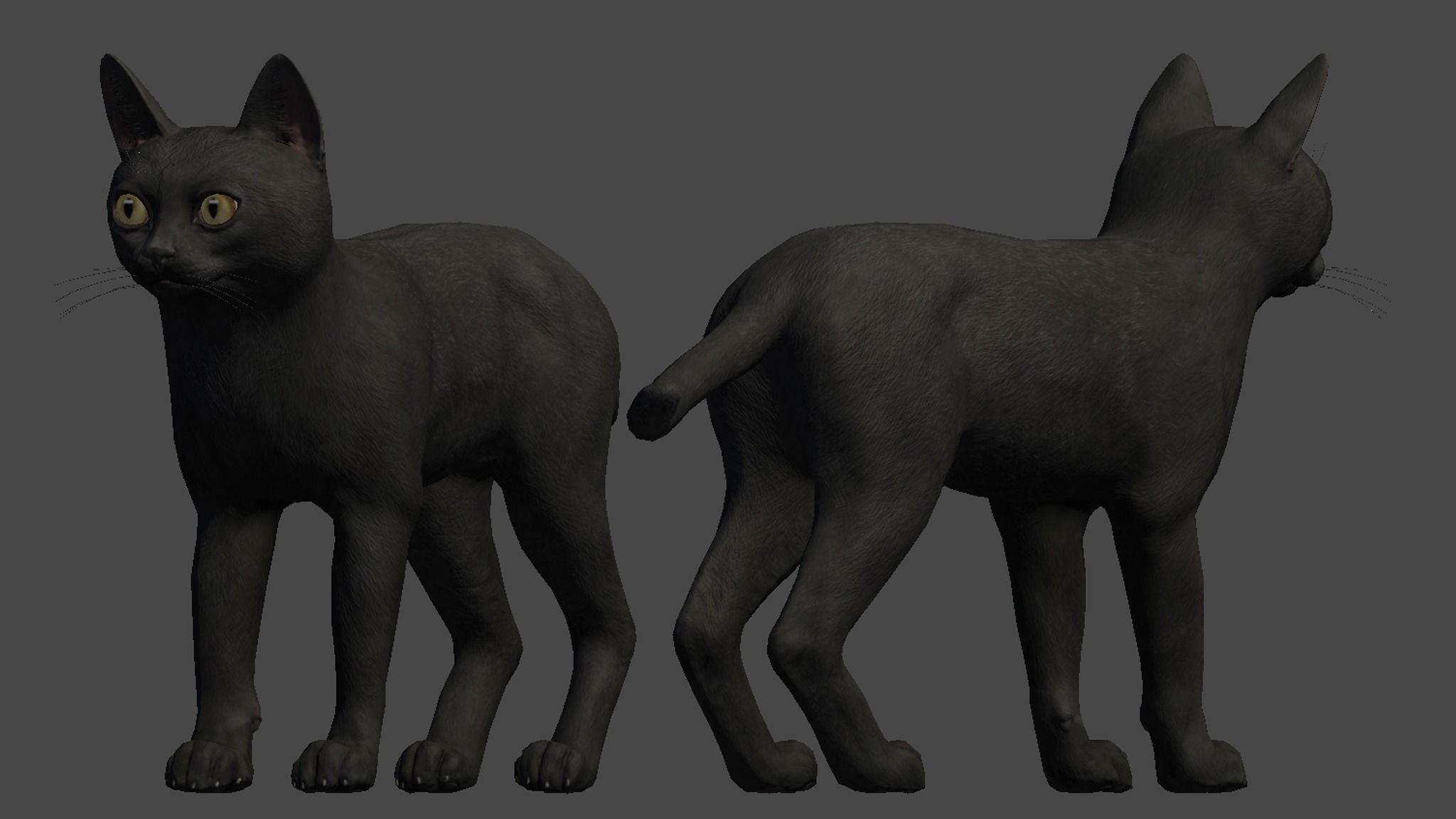 Cat - Bombay Low-poly 3D model_12