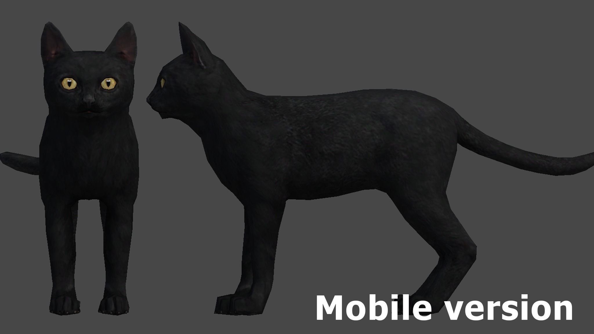 Cat - Bombay Low-poly 3D model_13