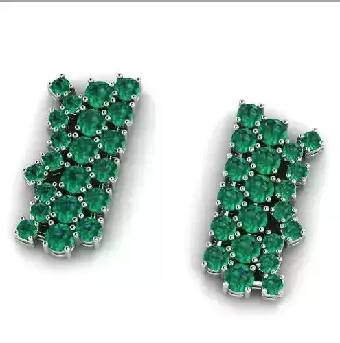 Earrings 1037