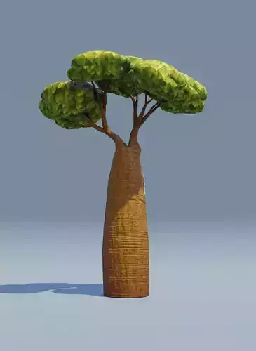 Cartoon Baobab Tree 3D Model Low-poly 3D model