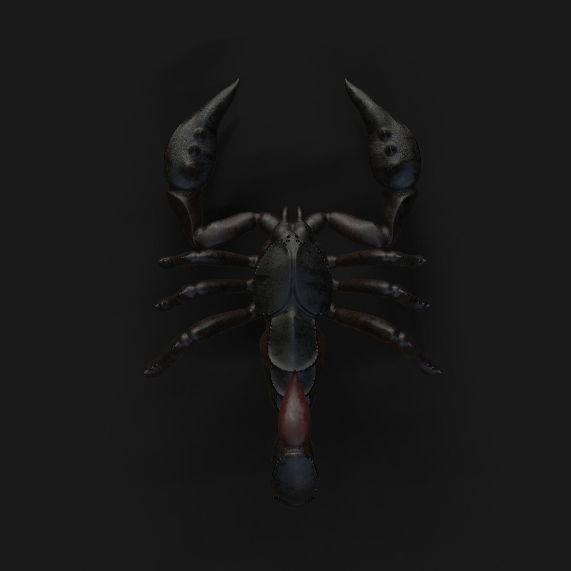 Scorpion Animation and Texture  Pack 3D model_17