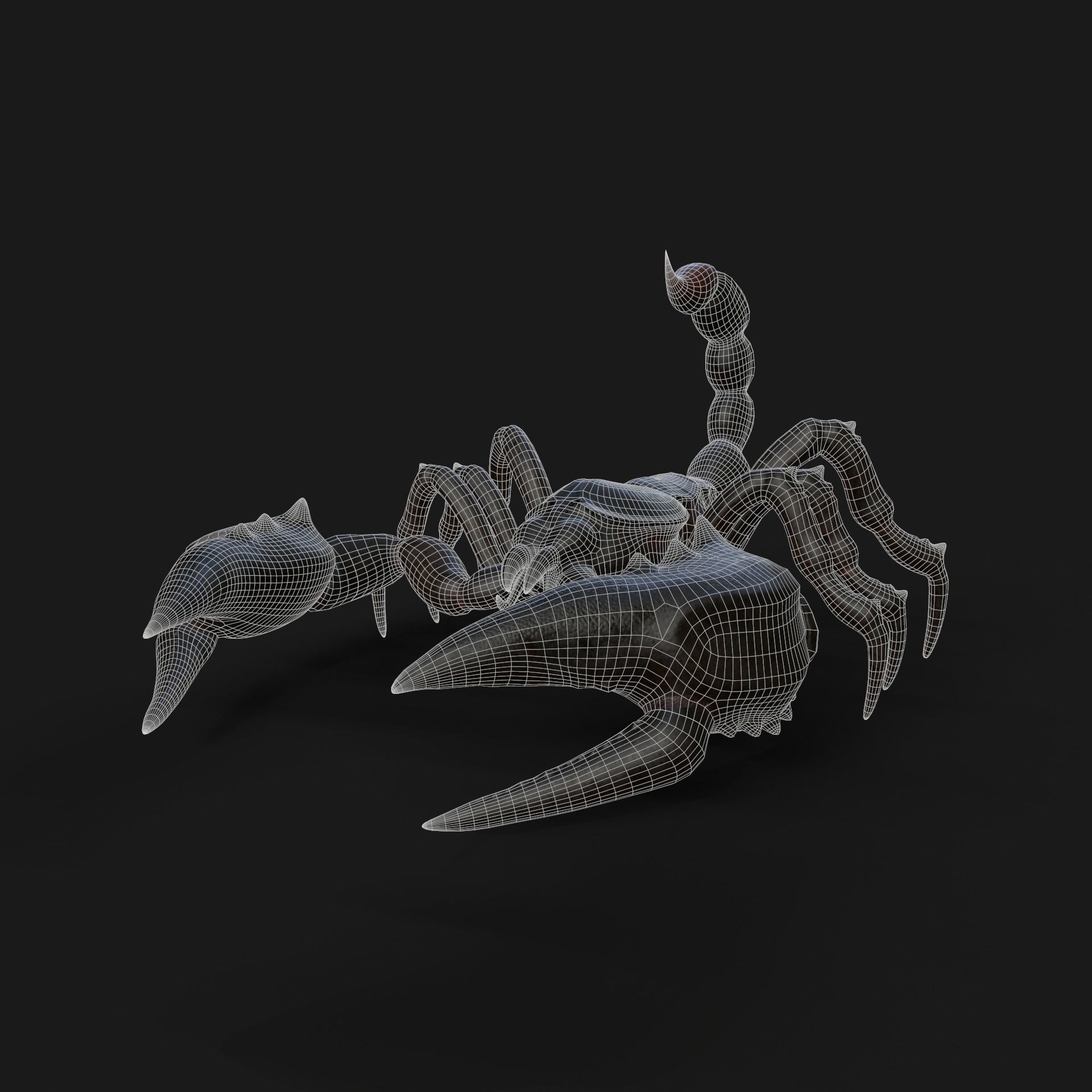 Scorpion Animation and Texture  Pack 3D model_28