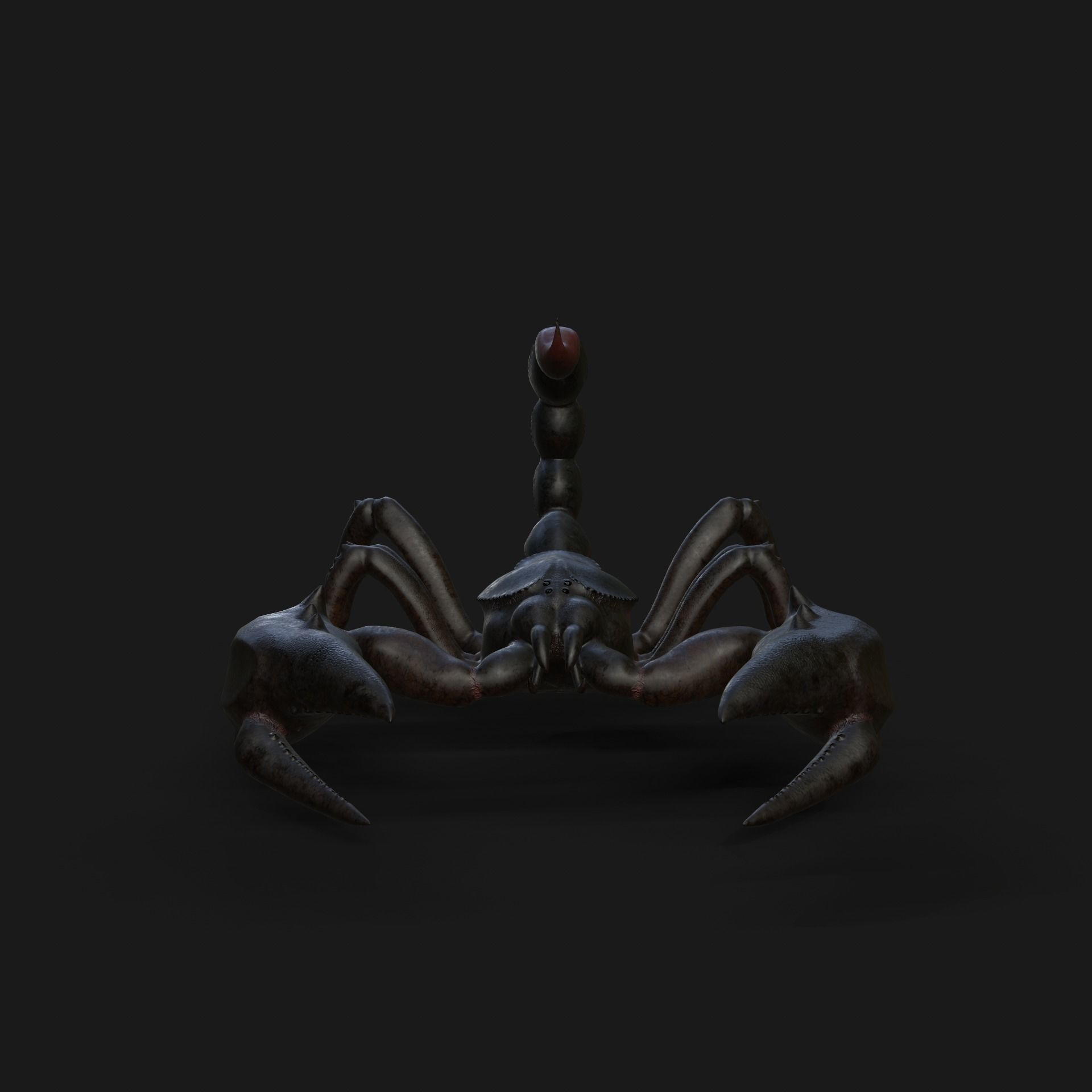 Scorpion Animation and Texture  Pack 3D model_14