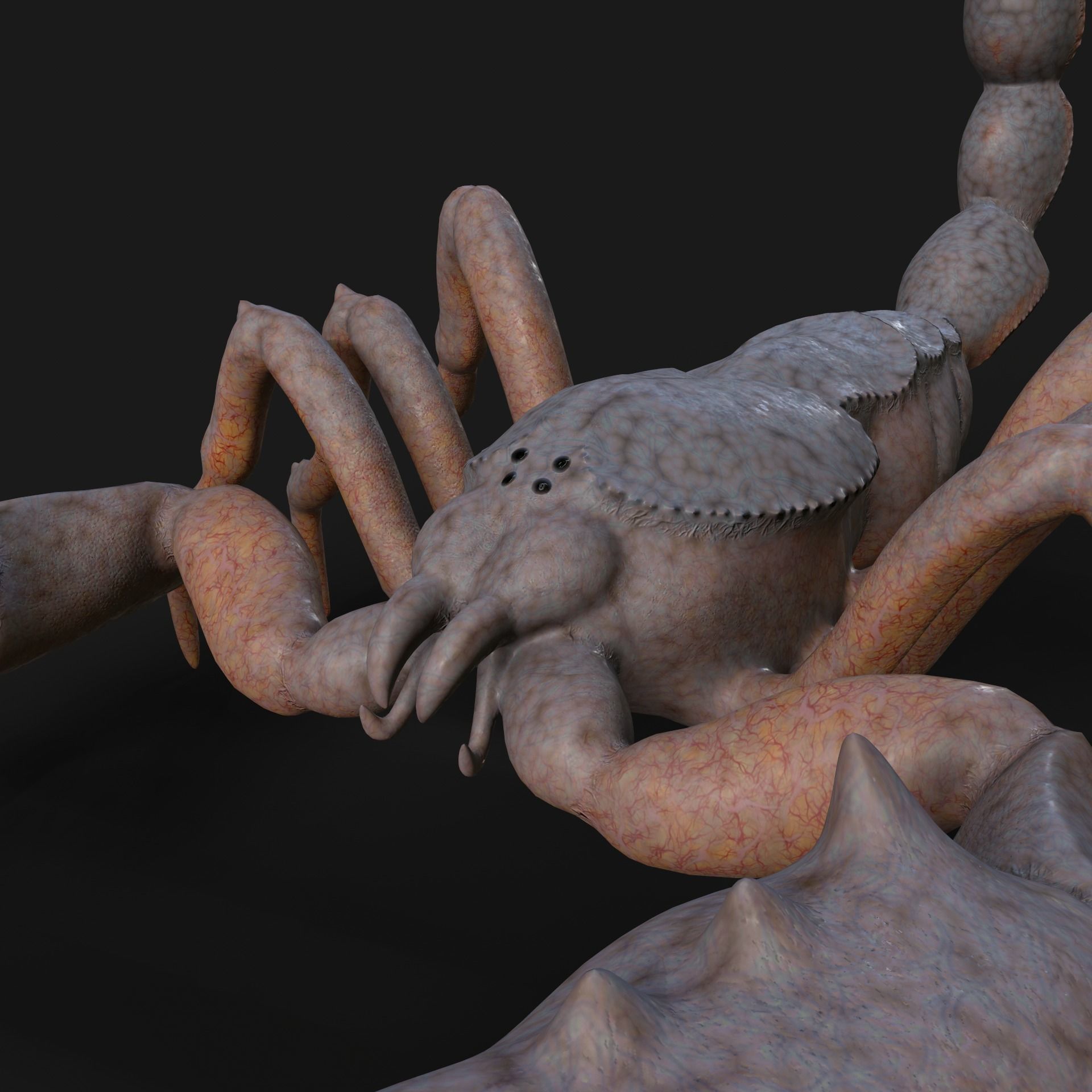 Scorpion Animation and Texture  Pack 3D model_39