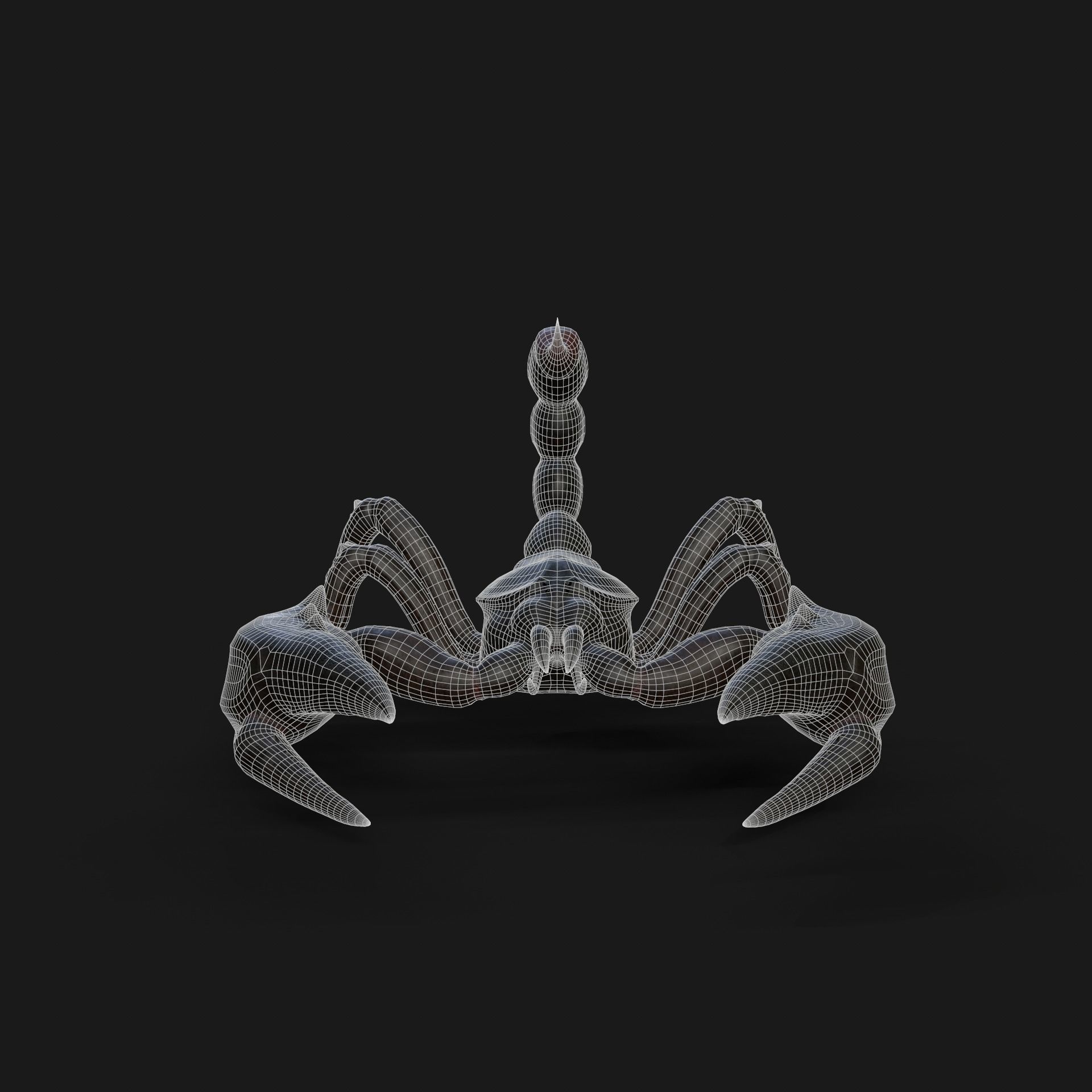 Scorpion Animation and Texture  Pack 3D model_34