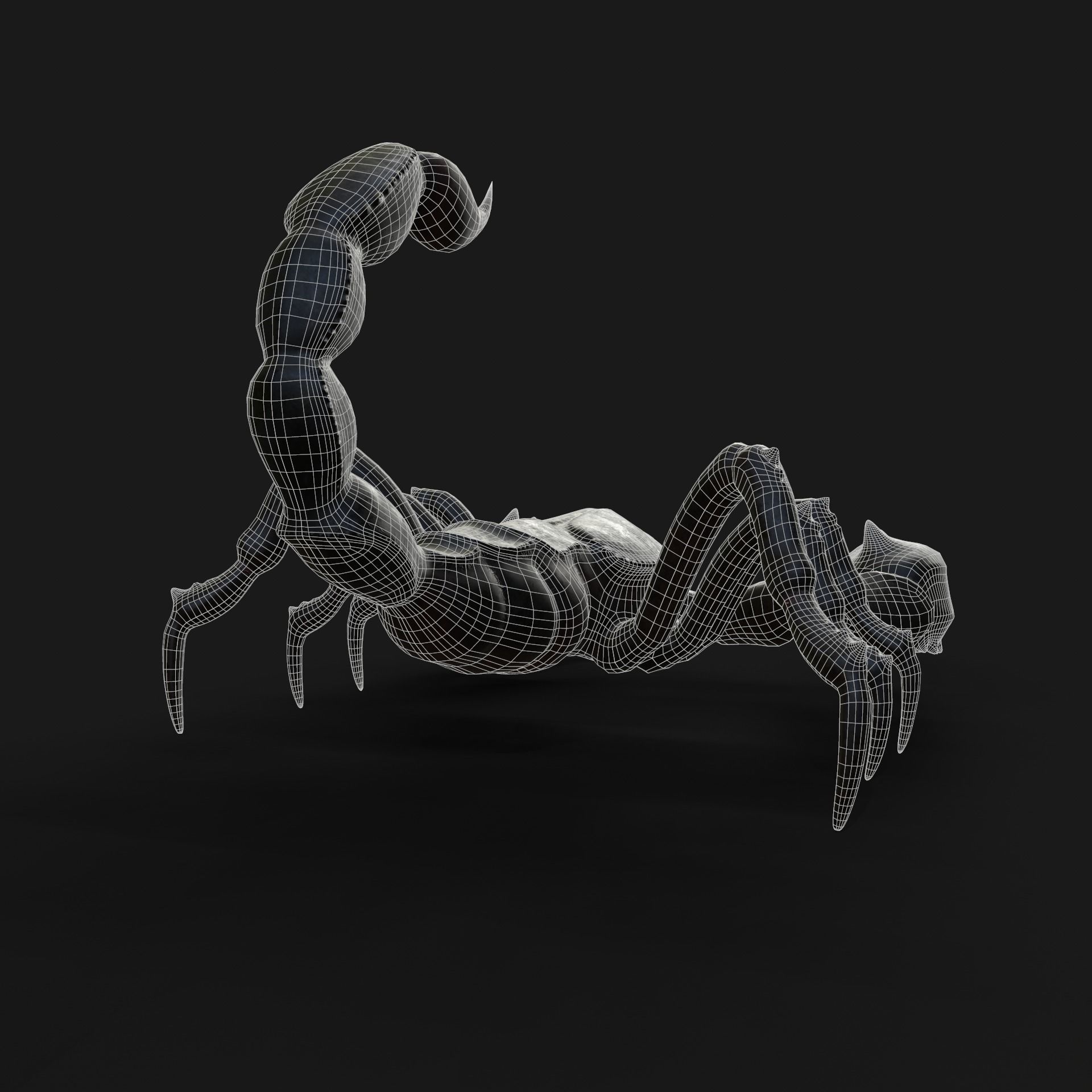 Scorpion Animation and Texture  Pack 3D model_29