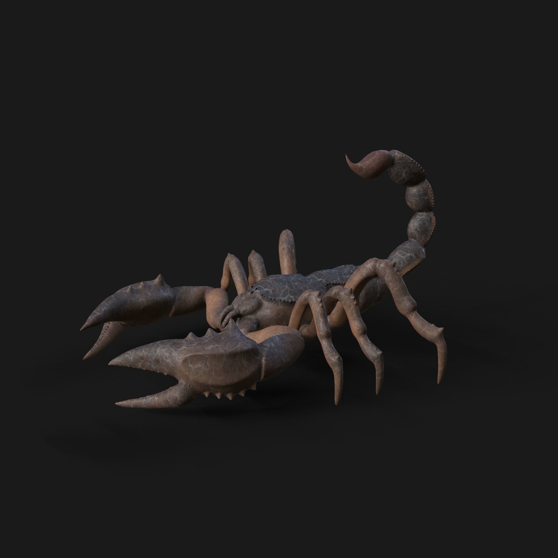 Scorpion Animation and Texture  Pack 3D model_26