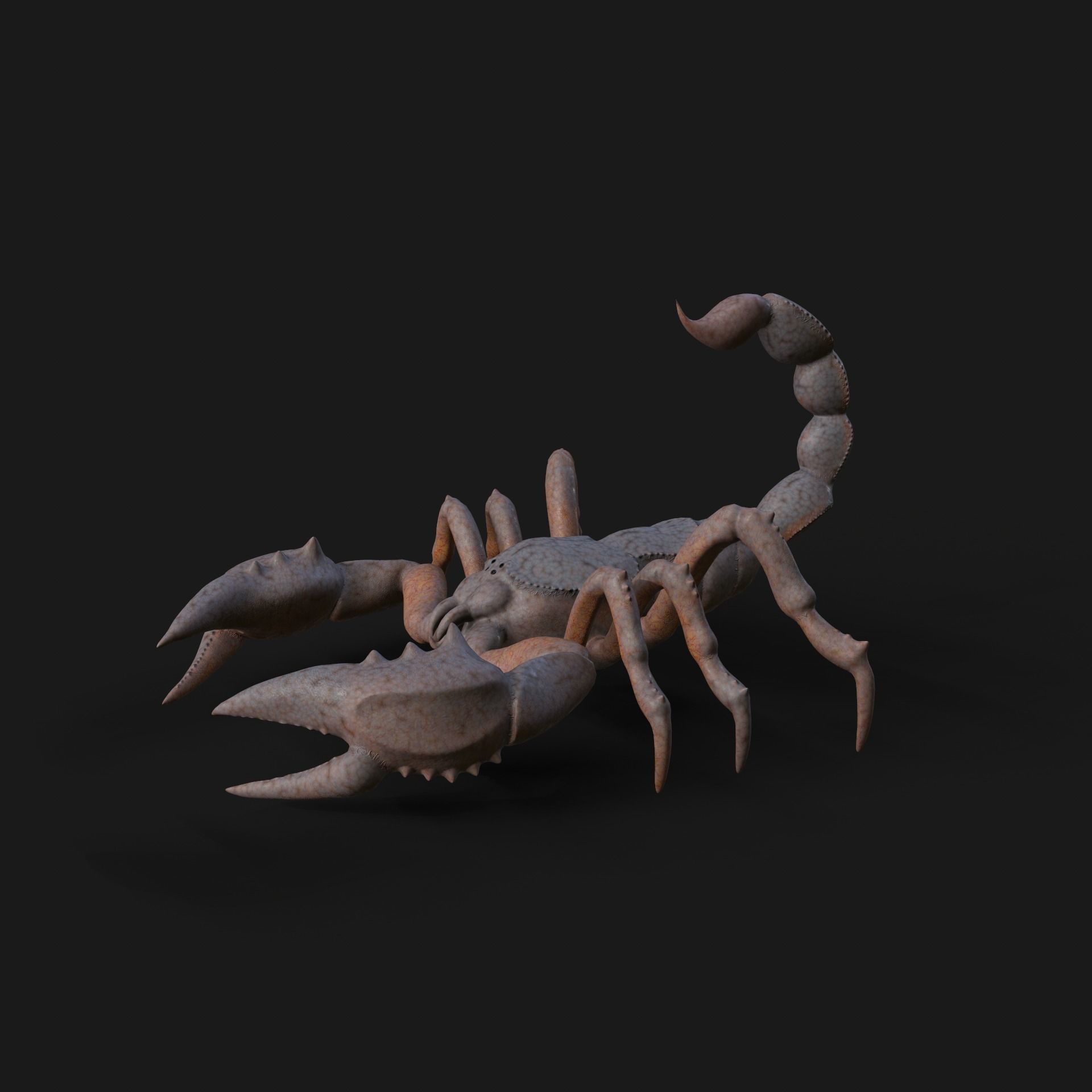 Scorpion Animation and Texture  Pack 3D model_38