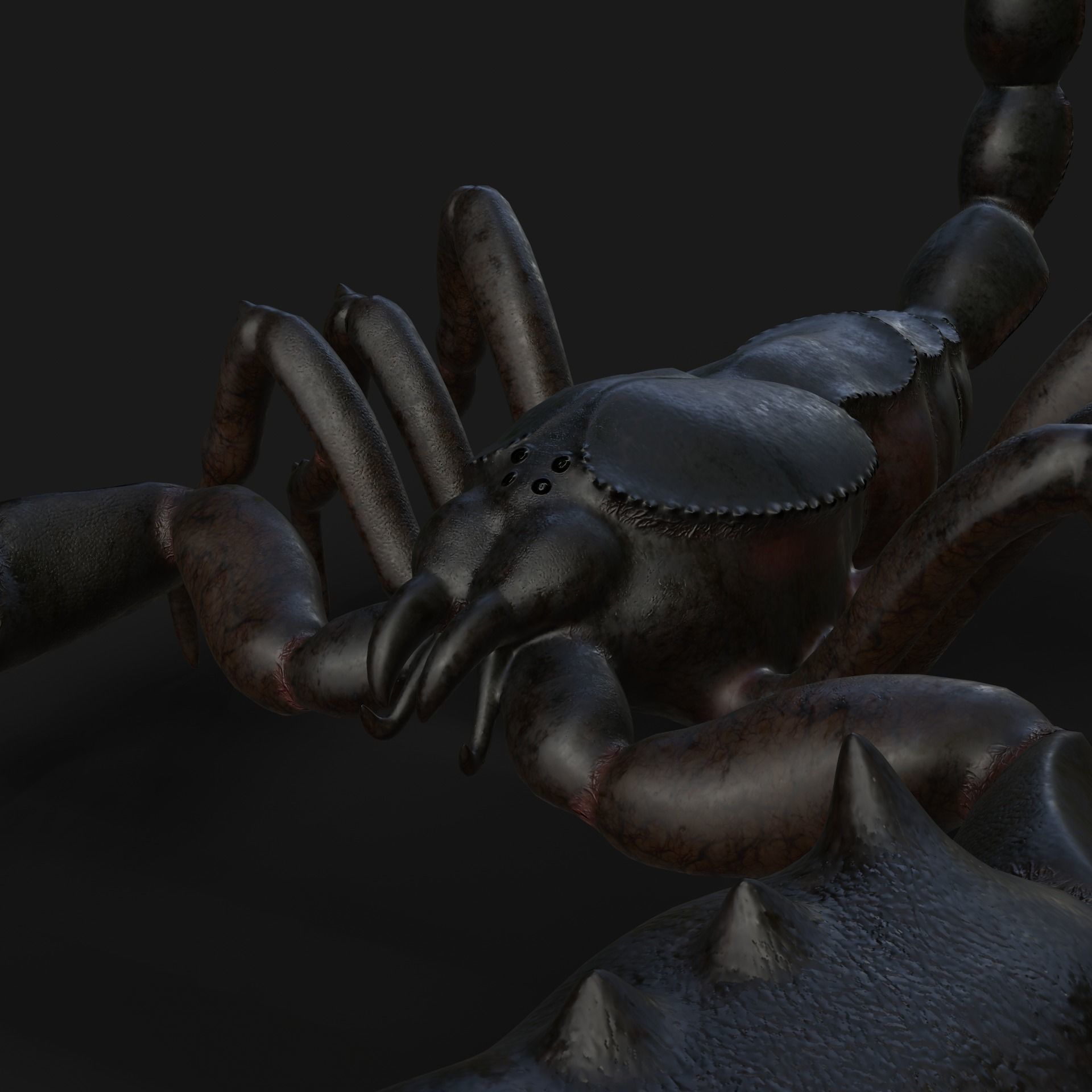 Scorpion Animation and Texture  Pack 3D model_16