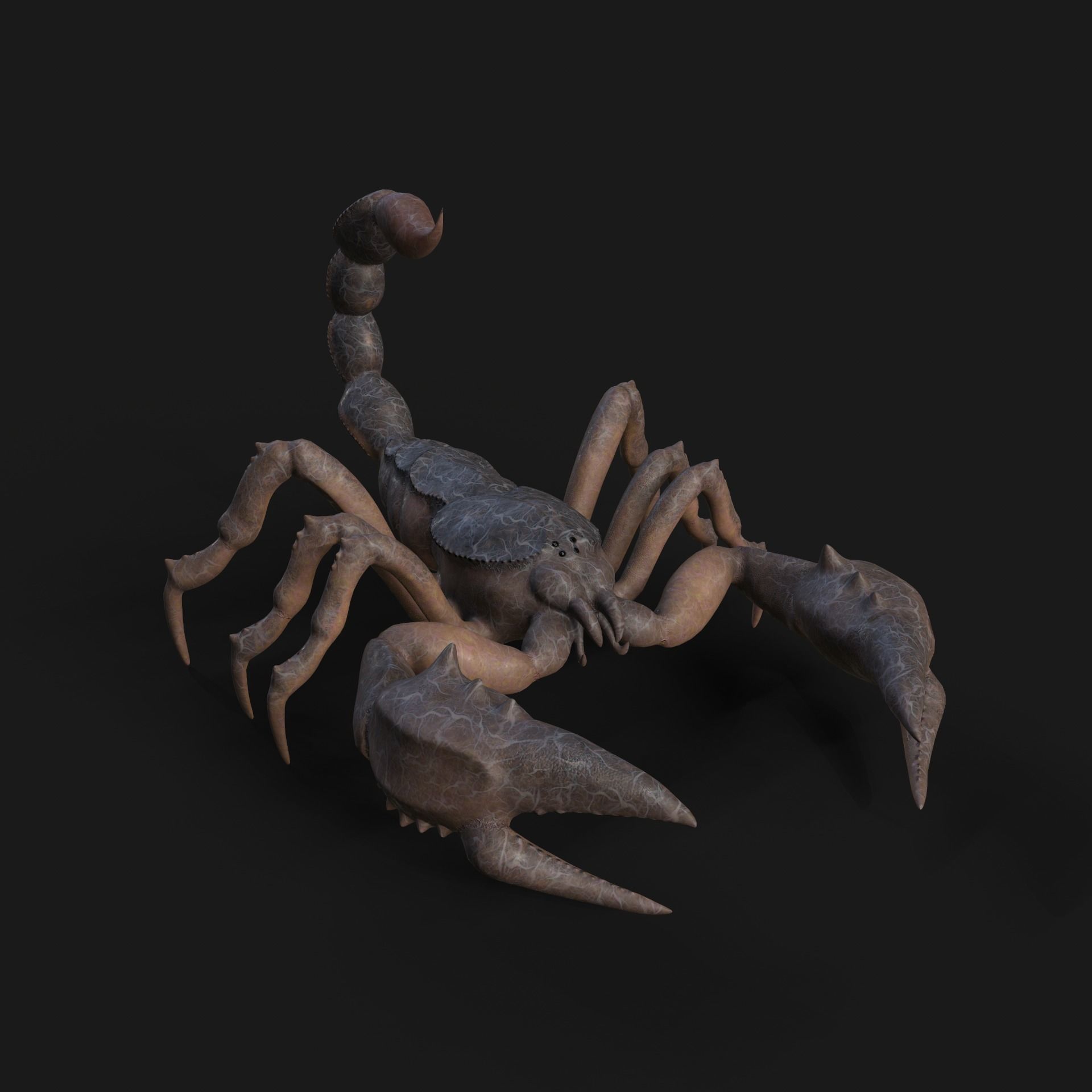 Scorpion Animation and Texture  Pack 3D model_20