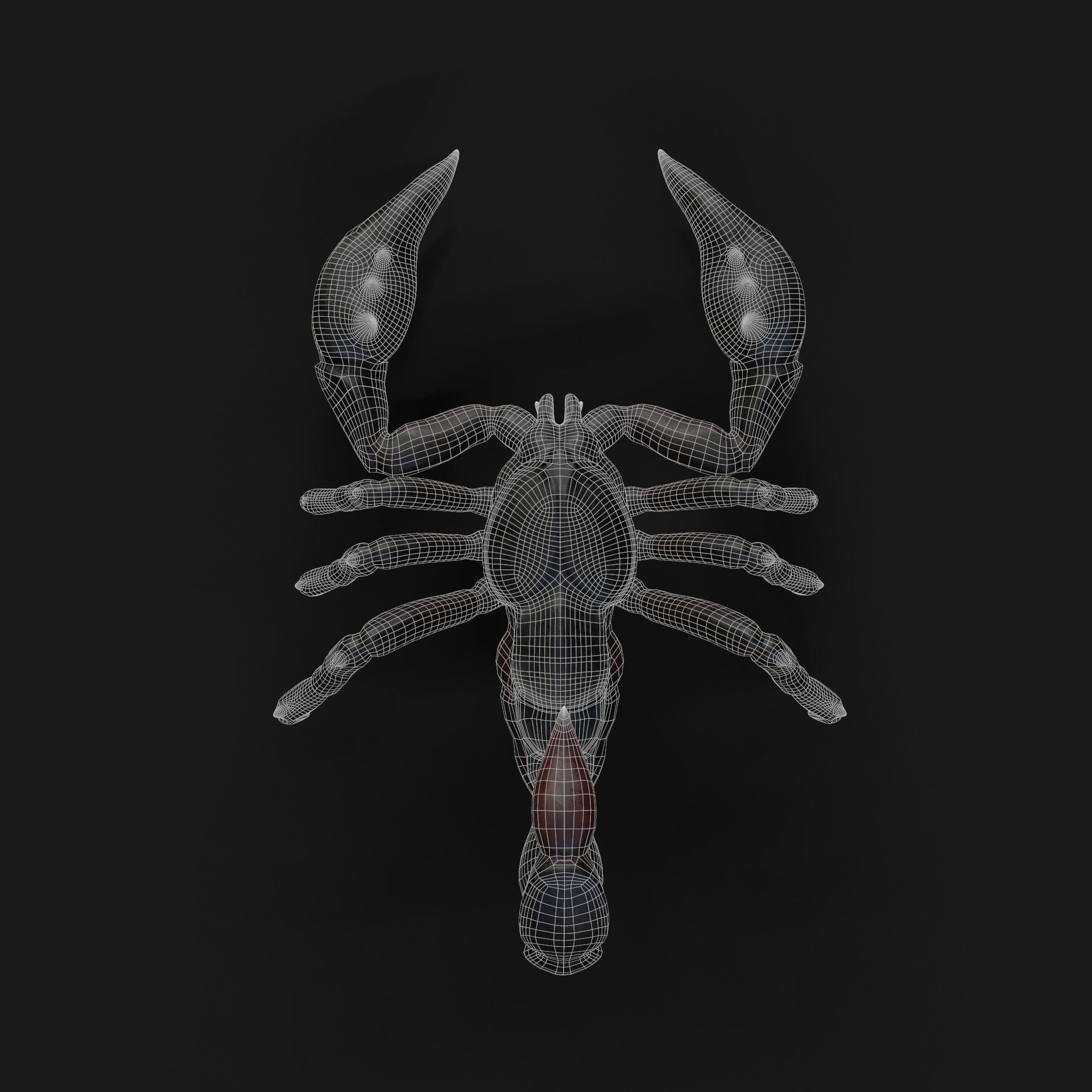 Scorpion Animation and Texture  Pack 3D model_31