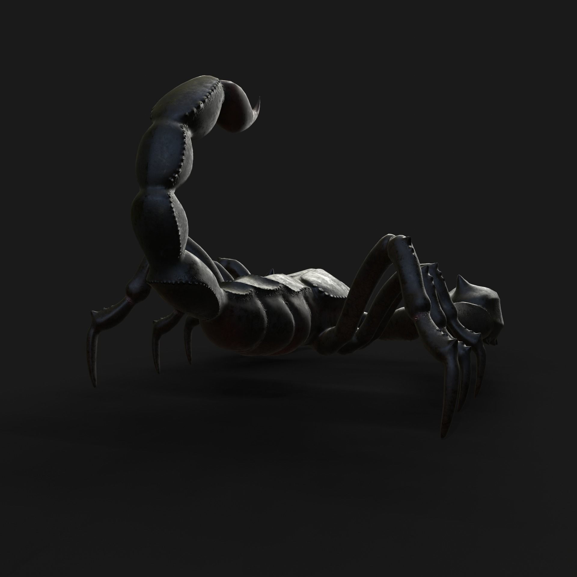 Scorpion Animation and Texture  Pack 3D model_19