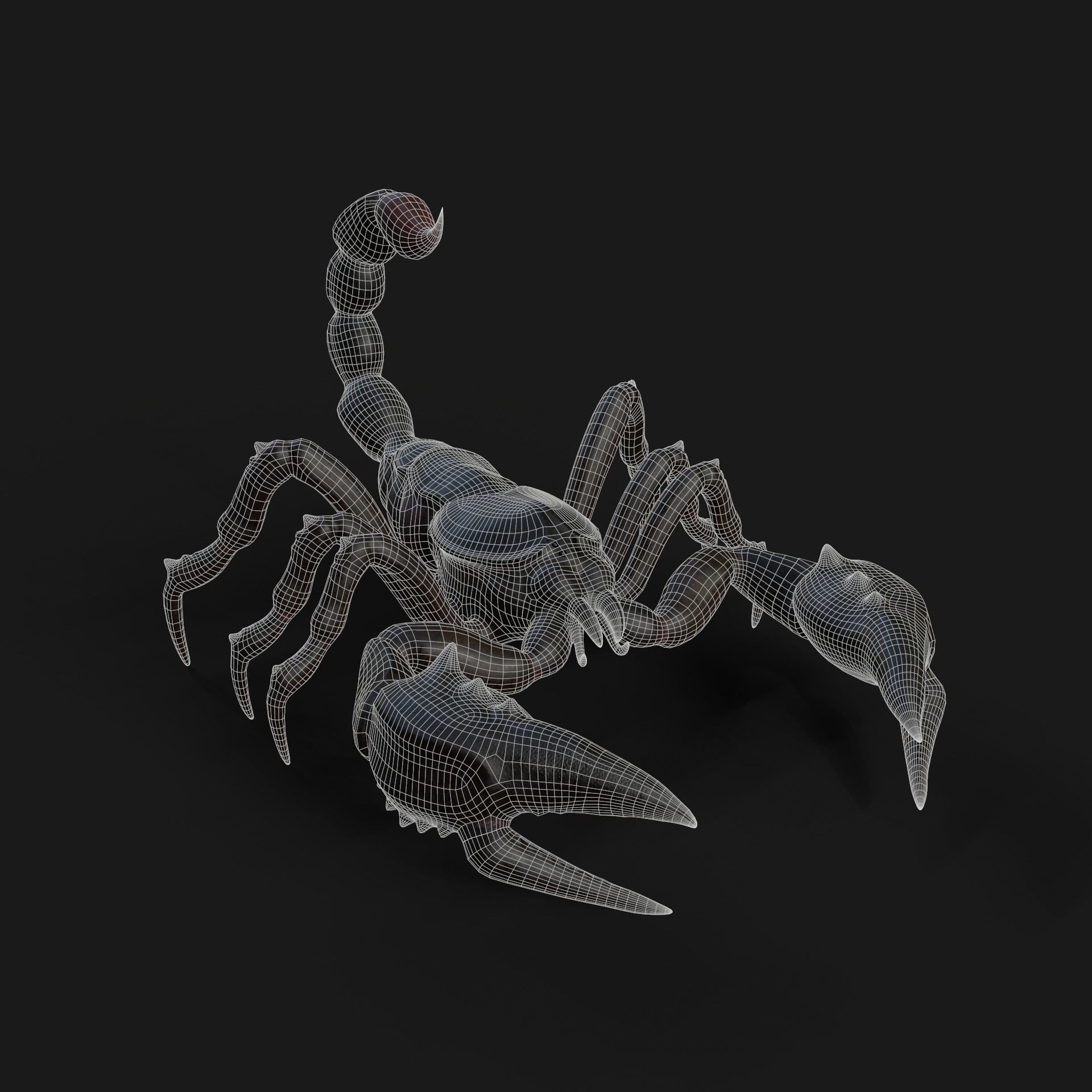 Scorpion Animation and Texture  Pack 3D model_36
