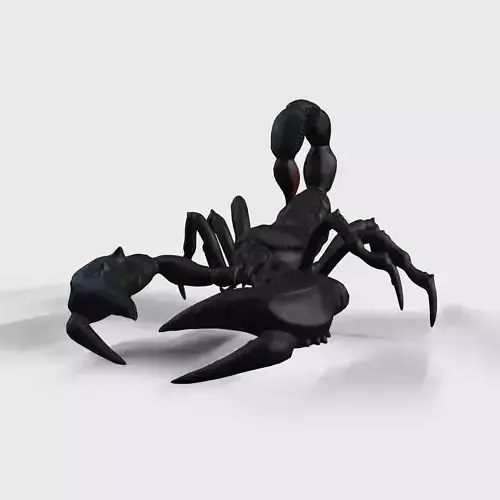 Scorpion Animation and Texture  Pack 3D model