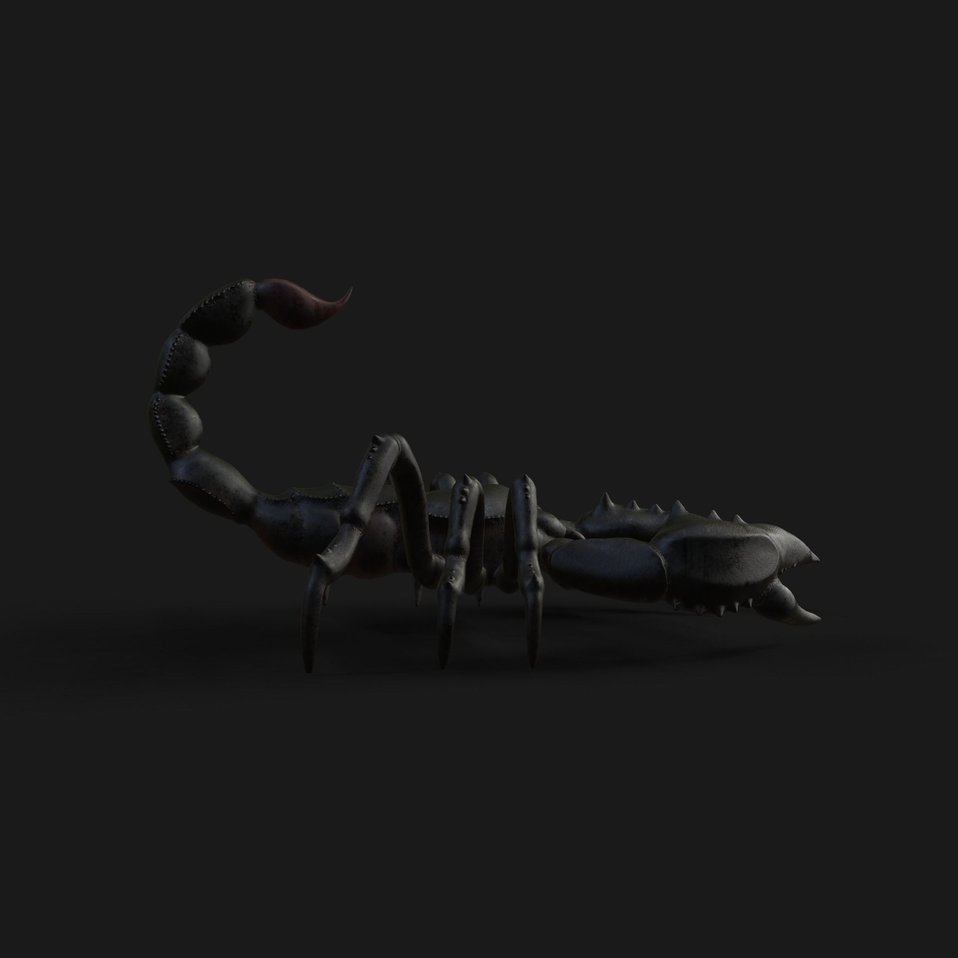 Scorpion Animation and Texture  Pack 3D model_18