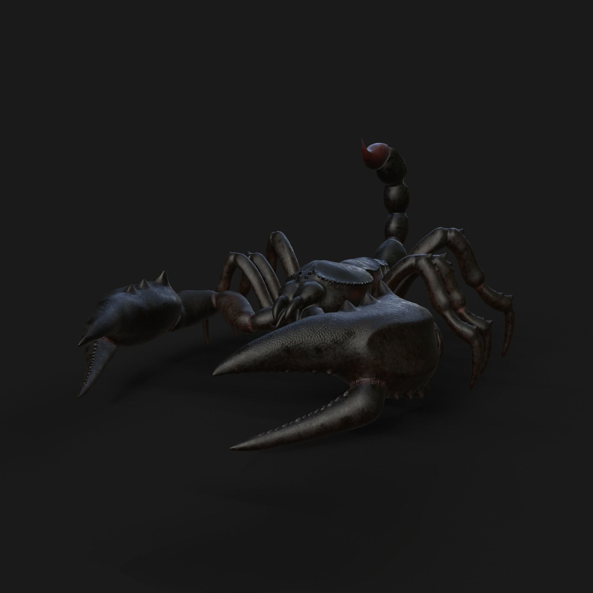 Scorpion Animation and Texture  Pack 3D model_12