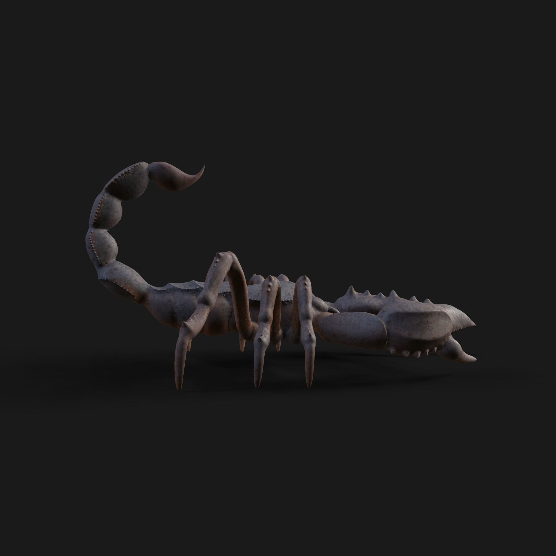 Scorpion Animation and Texture  Pack 3D model_41