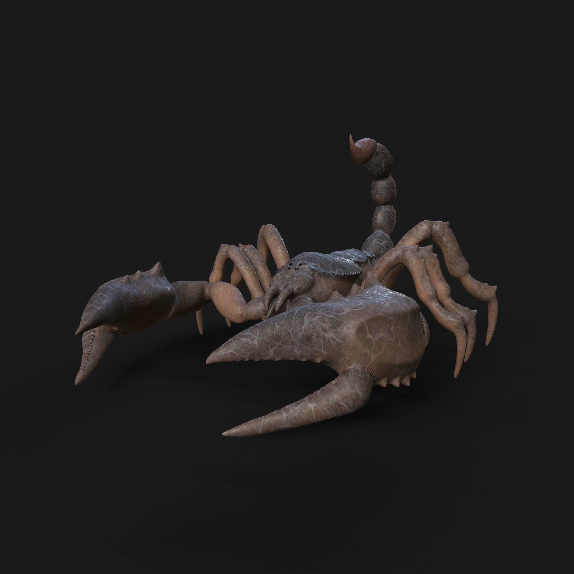 Scorpion Animation and Texture  Pack 3D model_21