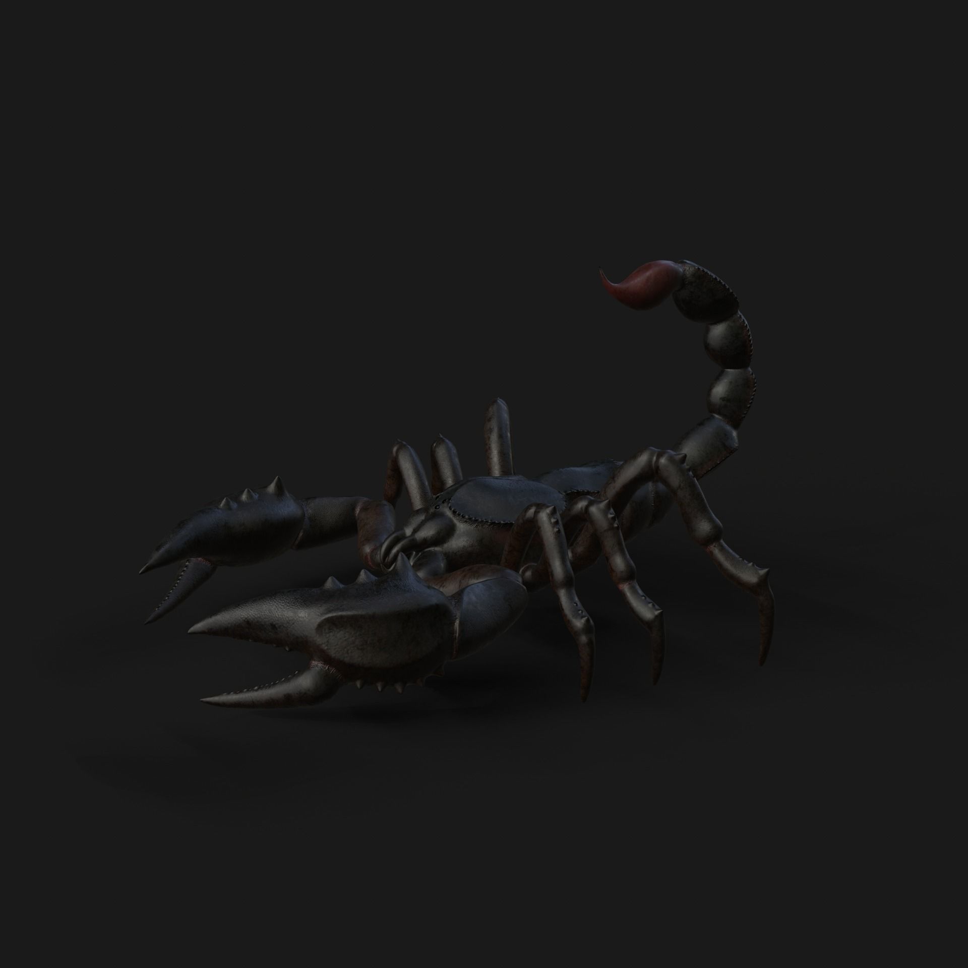 Scorpion Animation and Texture  Pack 3D model_15