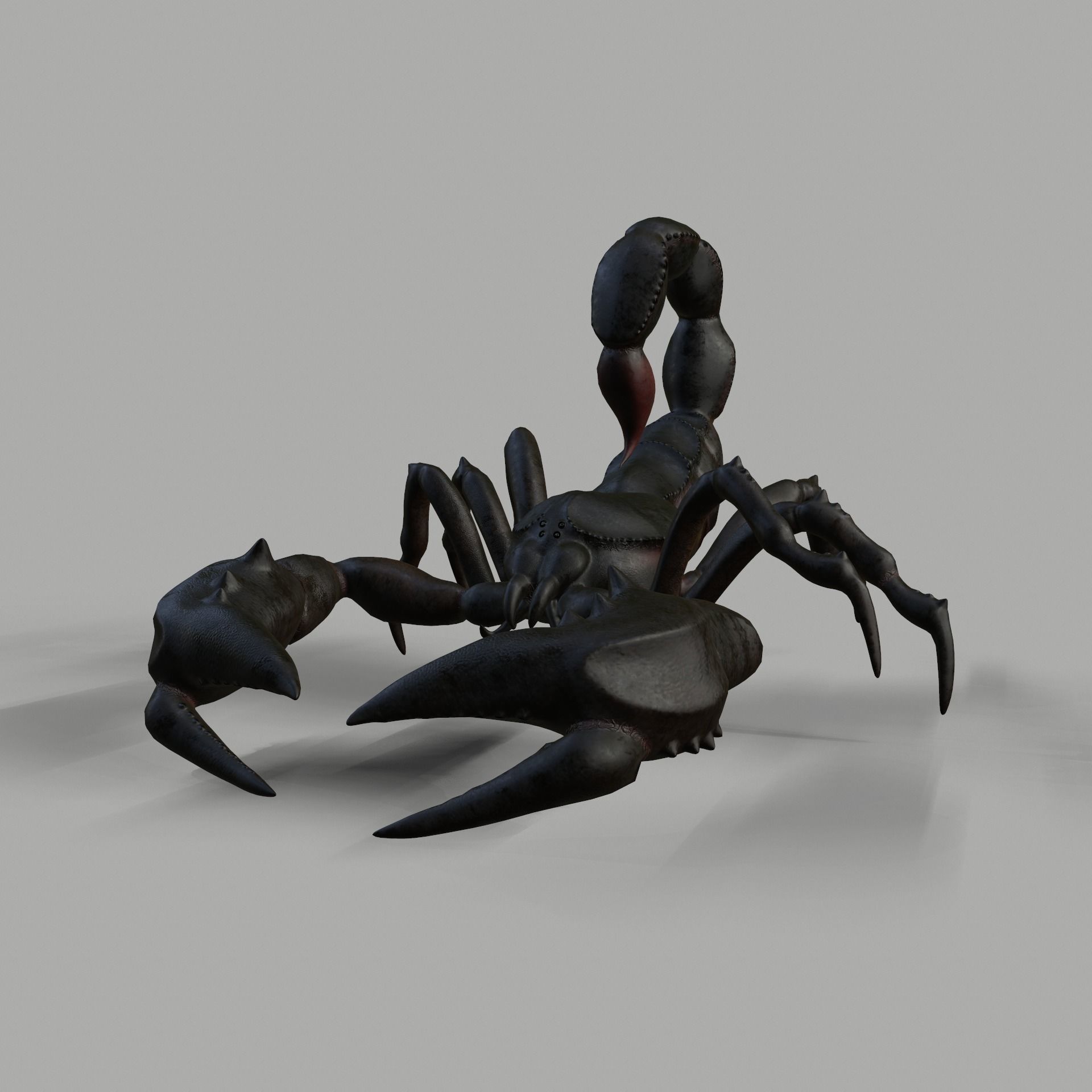 Scorpion Animation and Texture  Pack 3D model_11