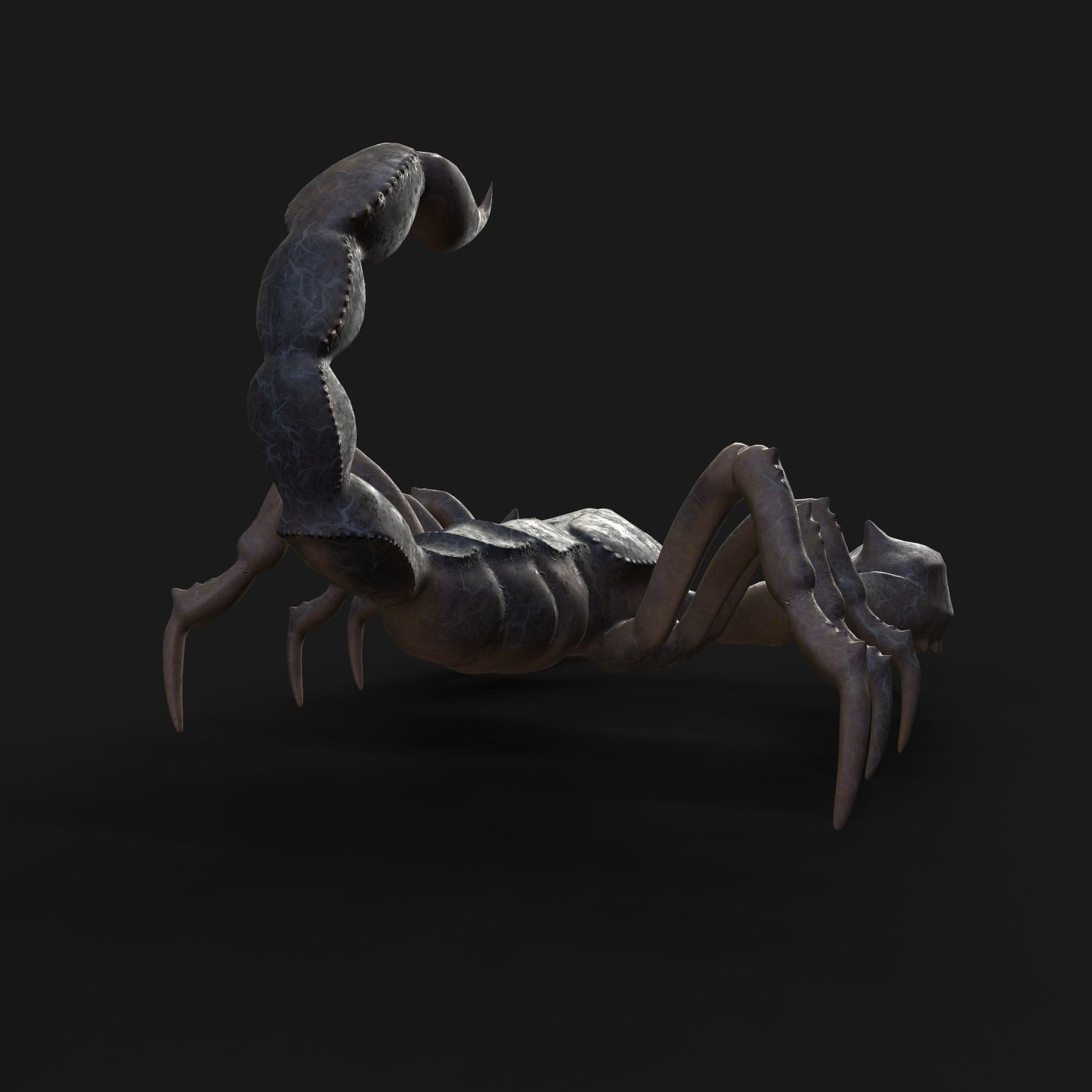 Scorpion Animation and Texture  Pack 3D model_22