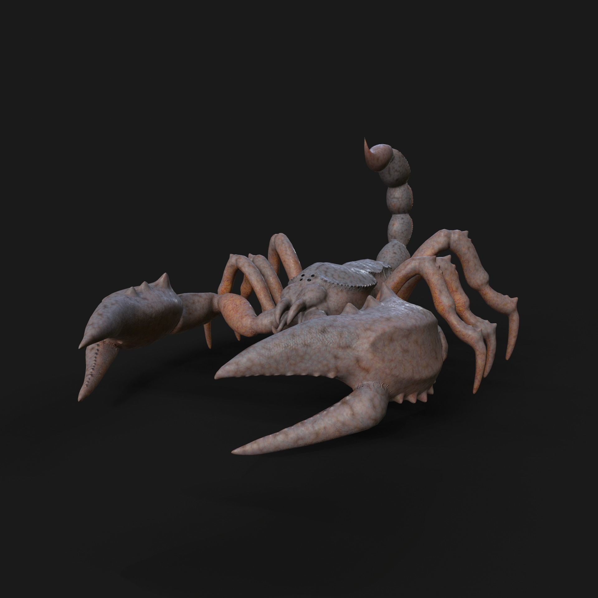 Scorpion Animation and Texture  Pack 3D model_43