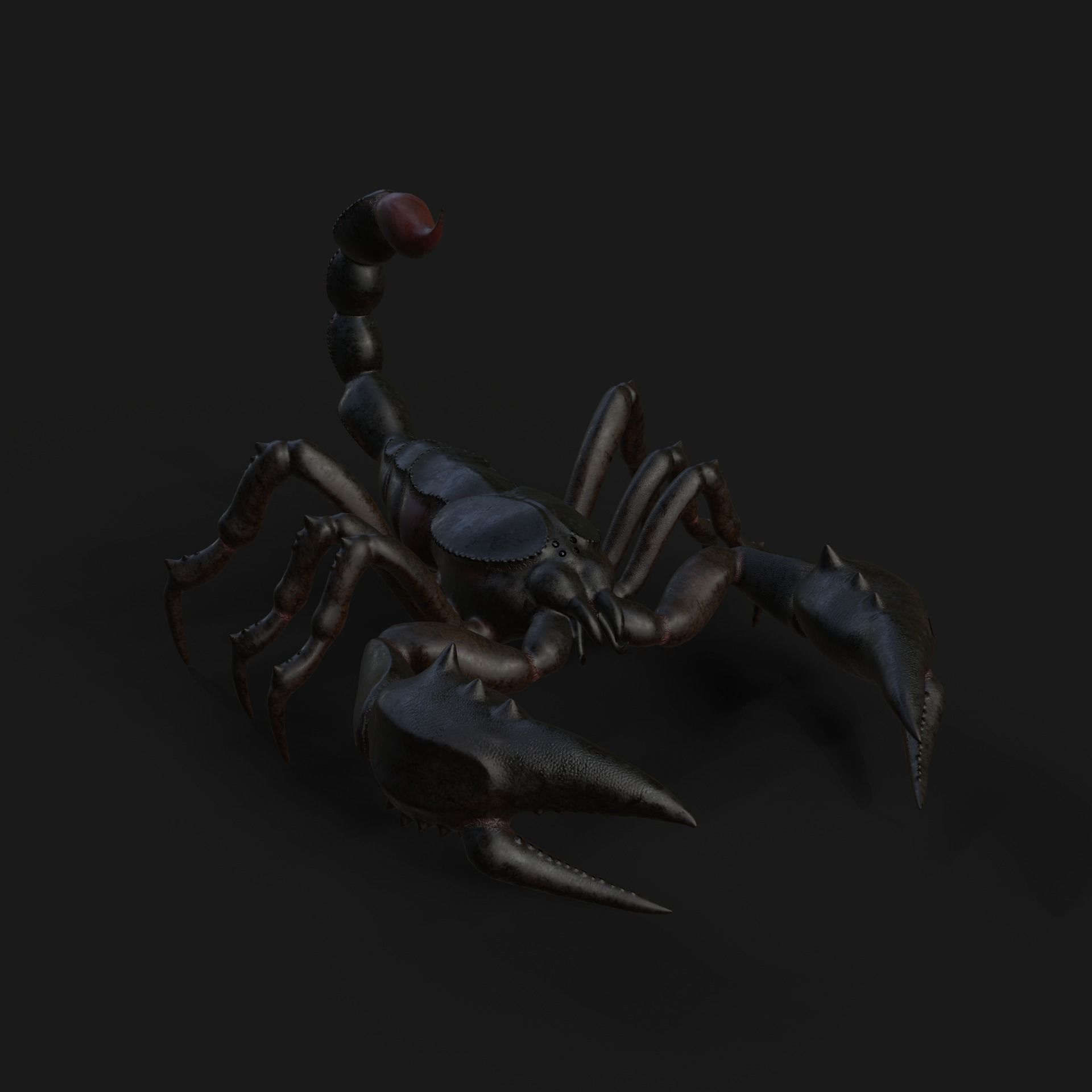 Scorpion Animation and Texture  Pack 3D model_13