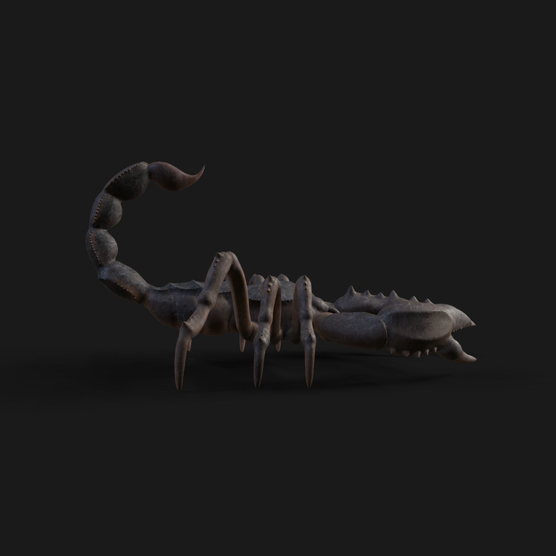 Scorpion Animation and Texture  Pack 3D model_23