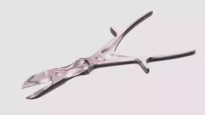 Bone cutter forceps 3D model