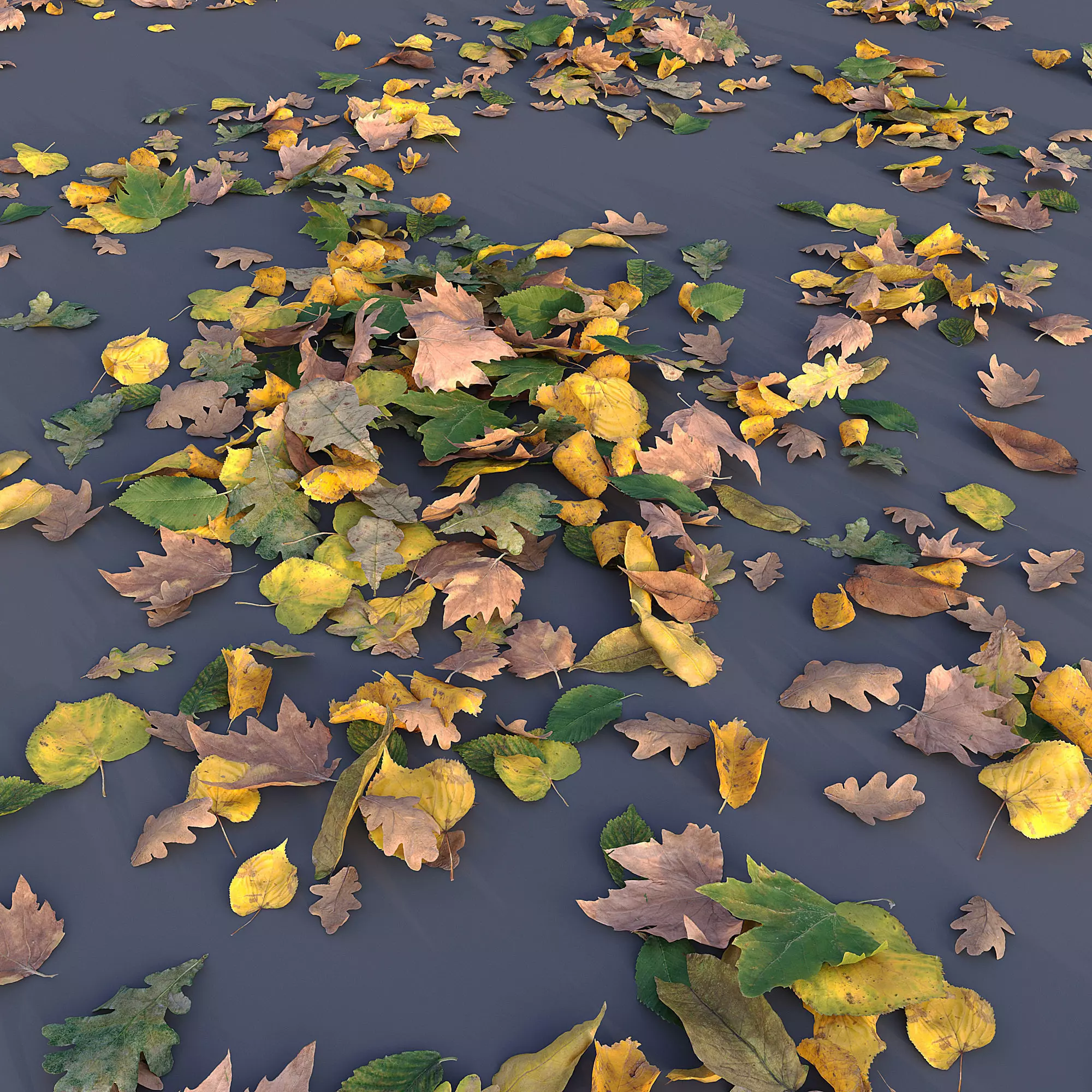 Autumn Leaves 3D model_0