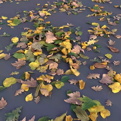 Autumn Leaves 3D model