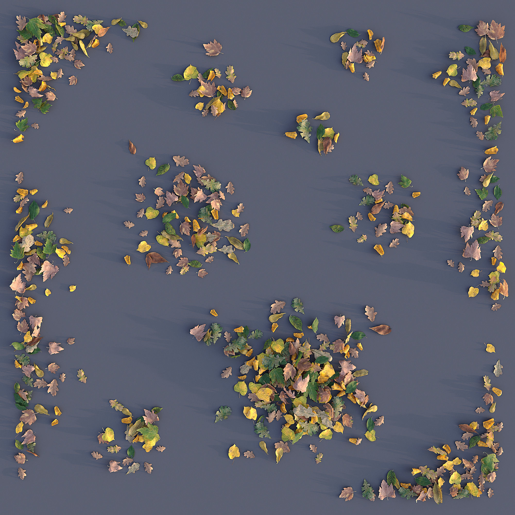 Autumn Leaves 3D model_2
