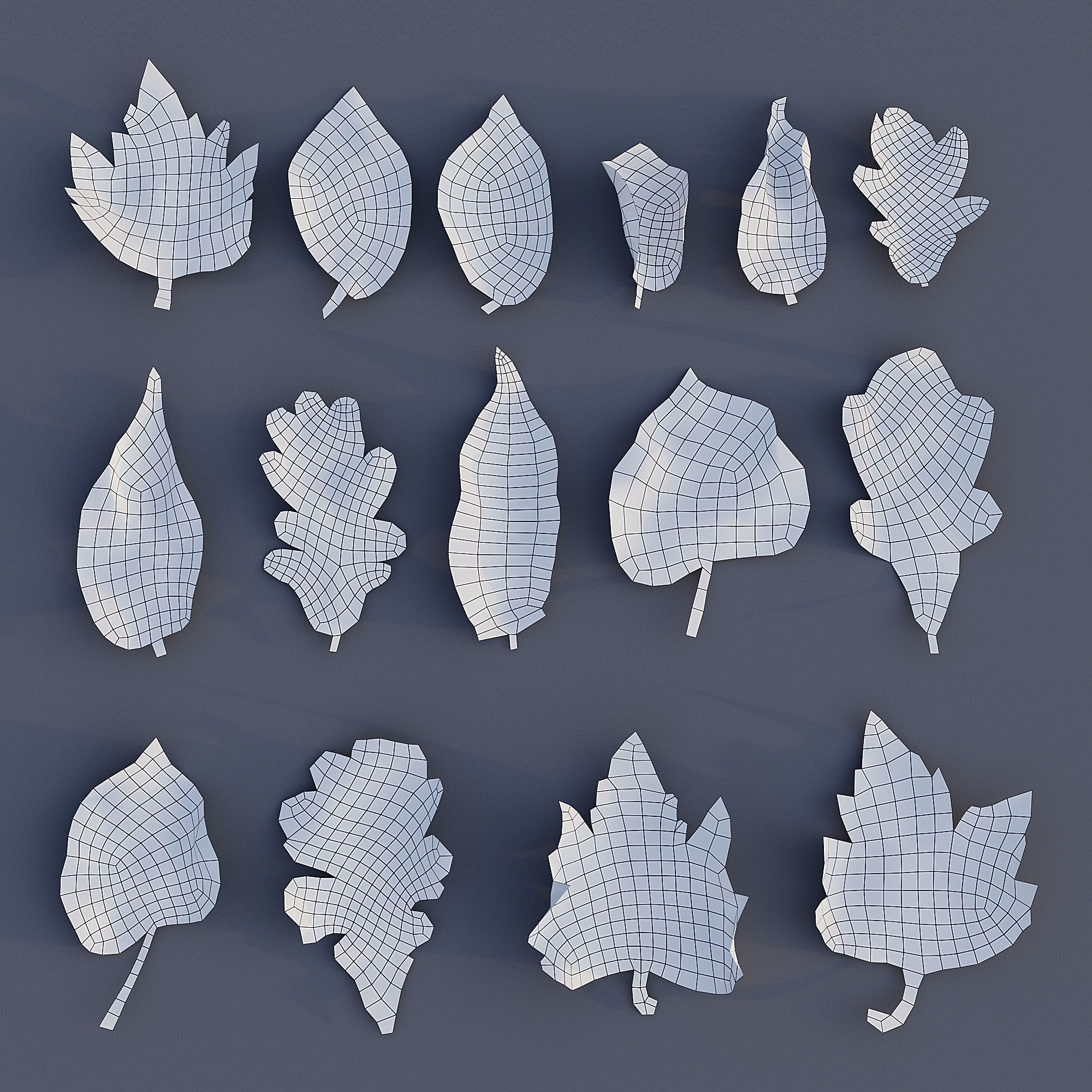 Autumn Leaves 3D model_5