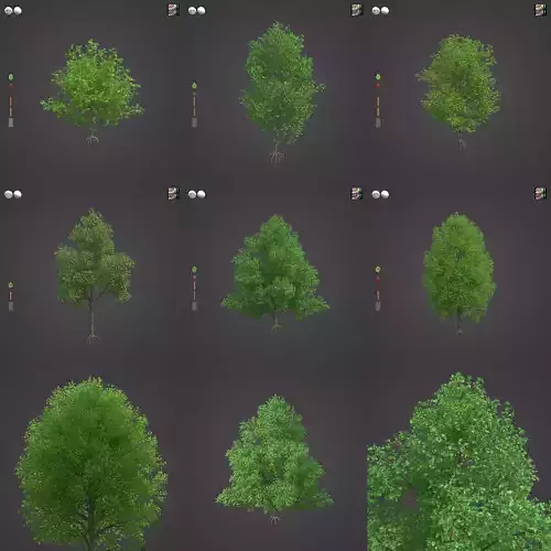 2021 PBR Grey Alder Collection - Alnus Incana