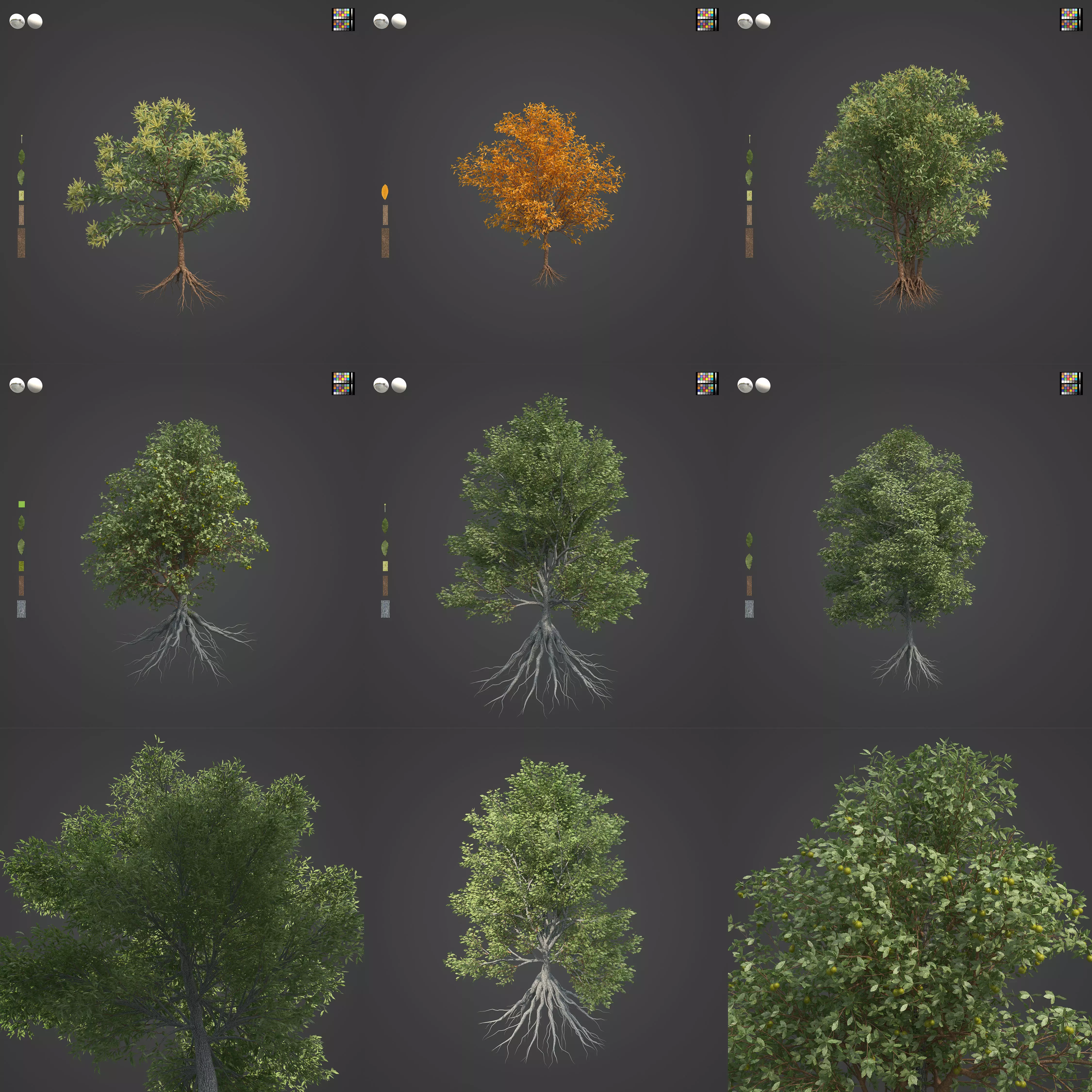 2021 PBR Chestnut Collection - Castanea Sativa 3D model