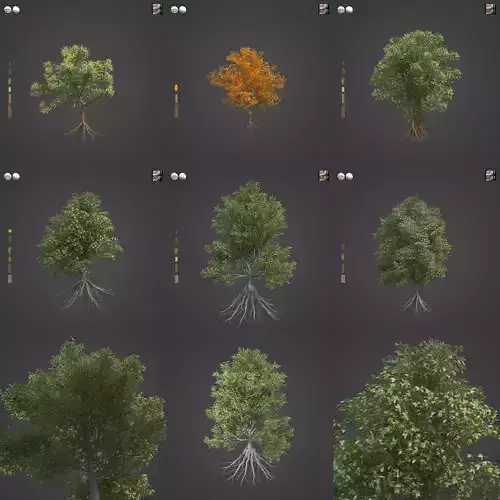 2021 PBR Chestnut Collection - Castanea Sativa  3D model