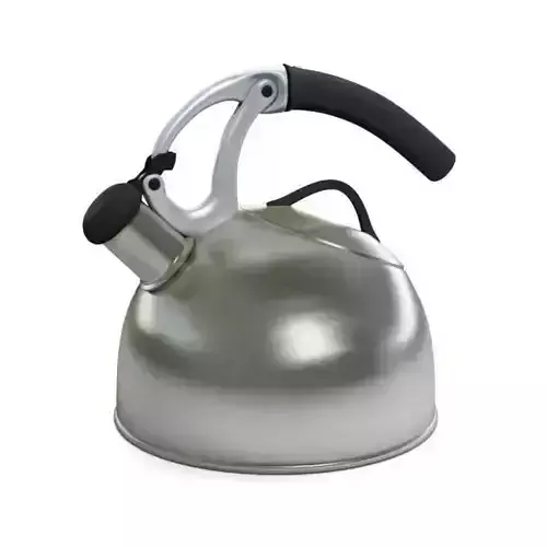 Metal Kitchen Kettle