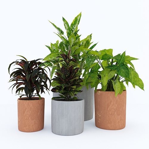lush plants 3D model