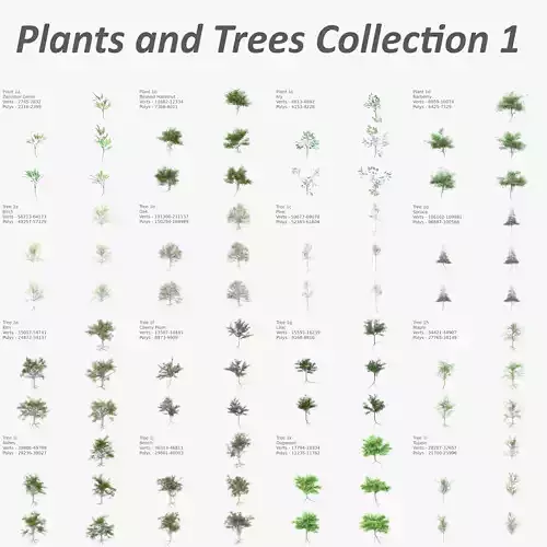 Plants and trees collection 1