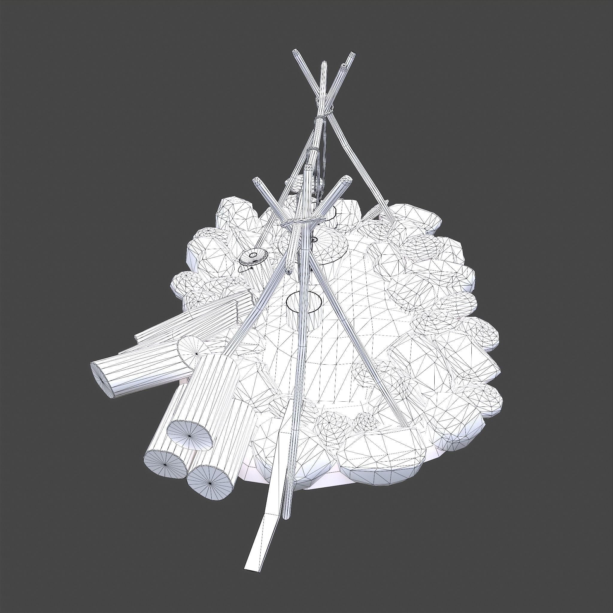 Camping Fire Pit  Low-poly 3D model_28