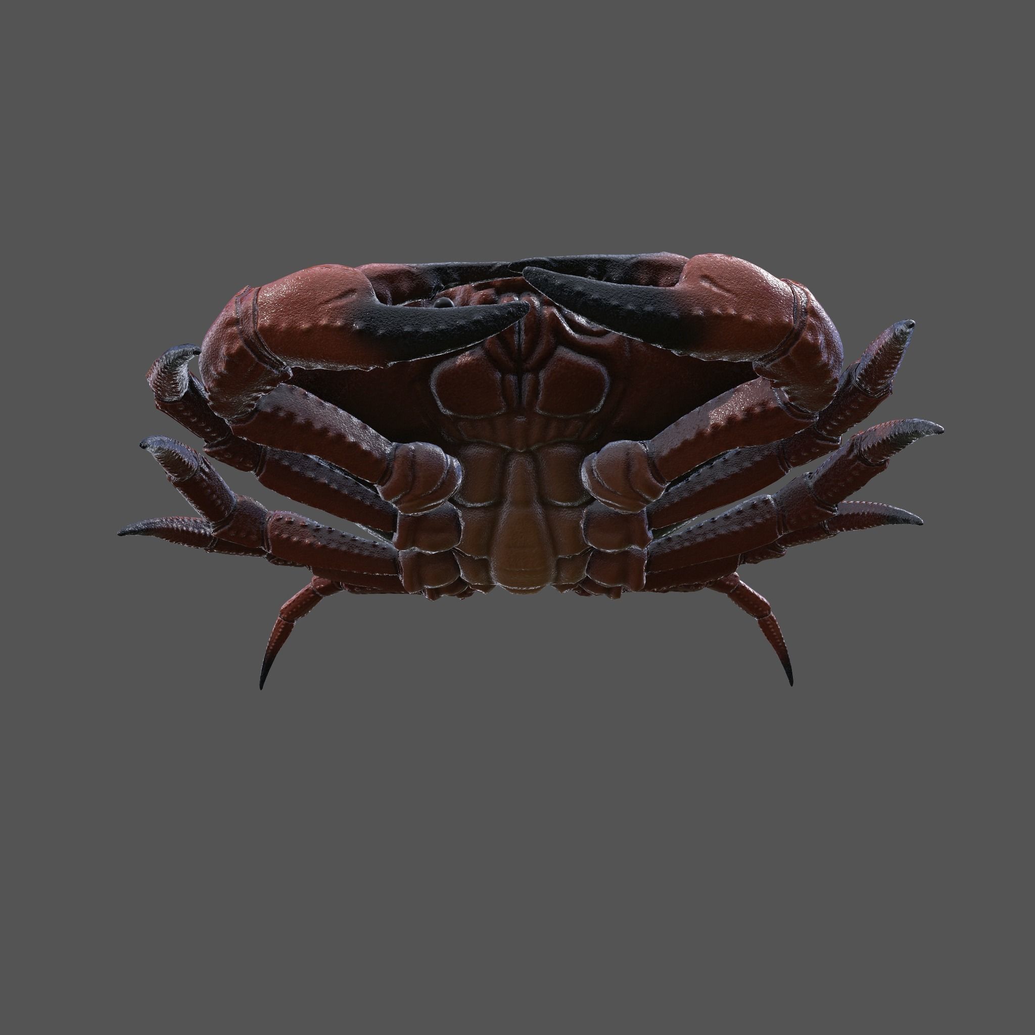 Crab Big Red  Low-poly 3D model_16